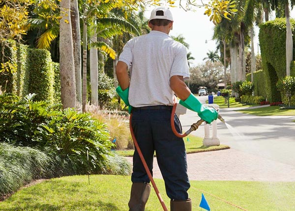 About Sinclairville NY Pest Control
